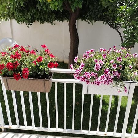 Mondello Beach The House With Green Lawns Villa Ngoại thất bức ảnh