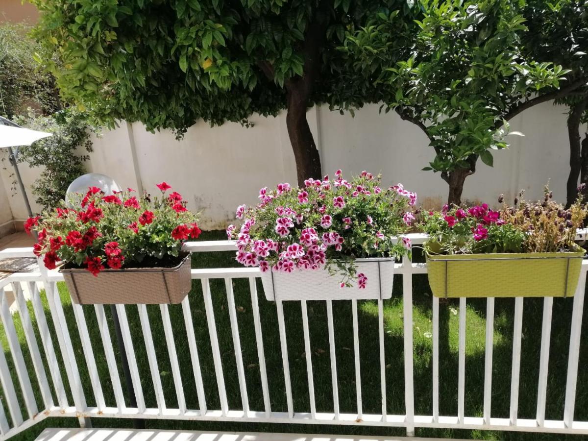 Mondello Beach The House With Green Lawns Villa Ngoại thất bức ảnh
