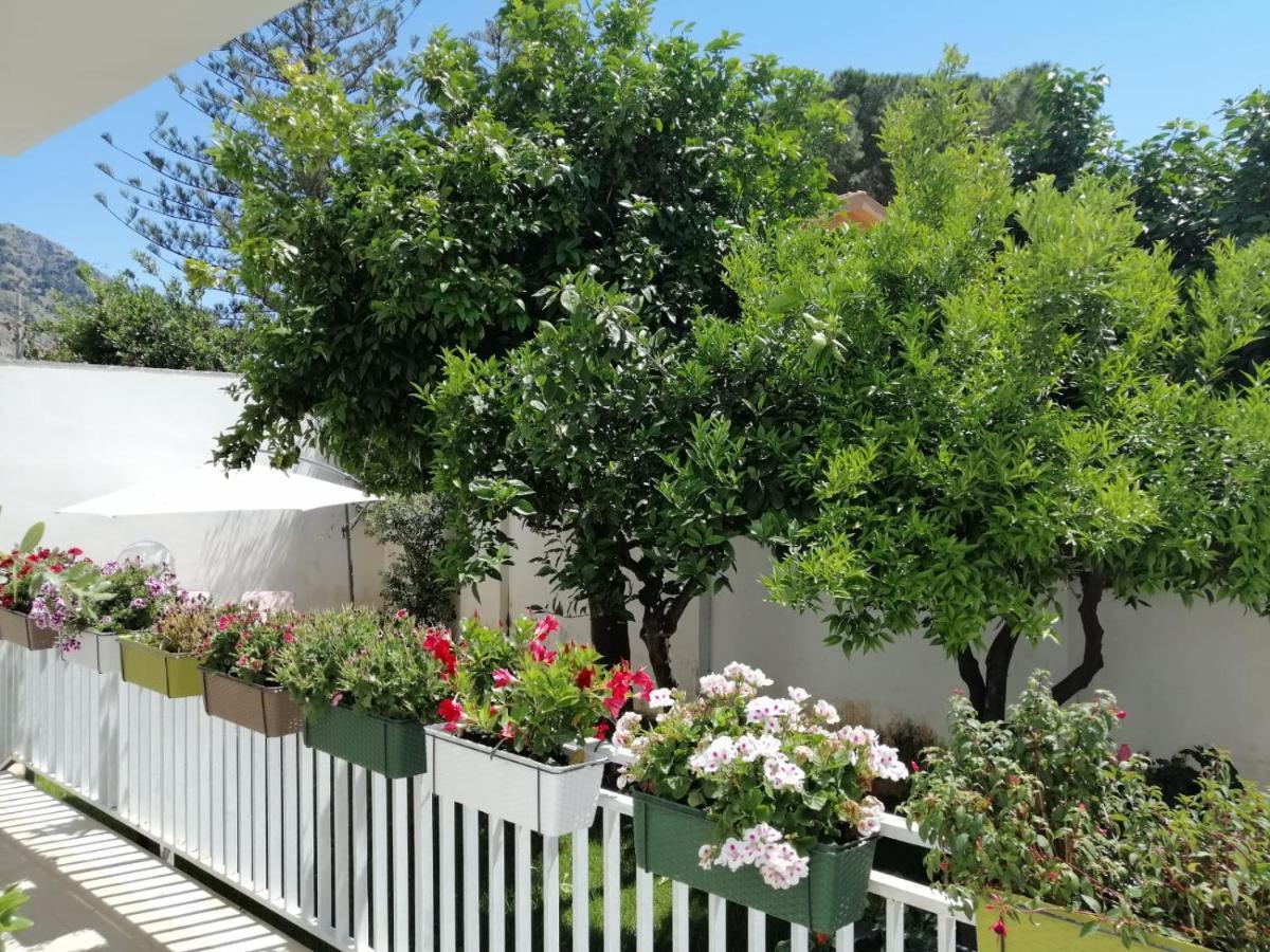 Mondello Beach The House With Green Lawns Villa Ngoại thất bức ảnh