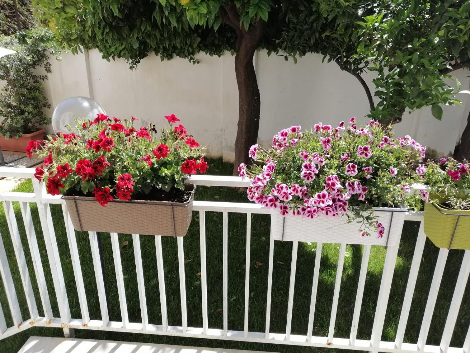 Mondello Beach The House With Green Lawns Villa Ngoại thất bức ảnh